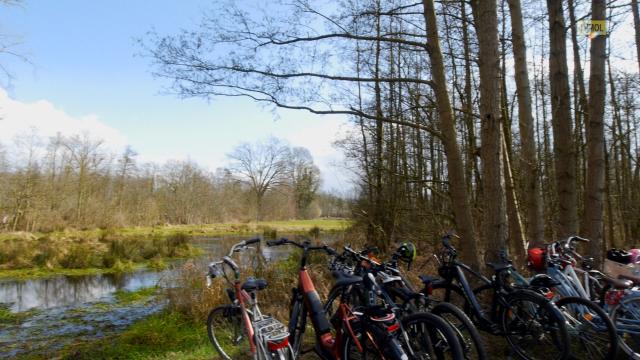 Molse schoolkinderen planten 1000 bomen