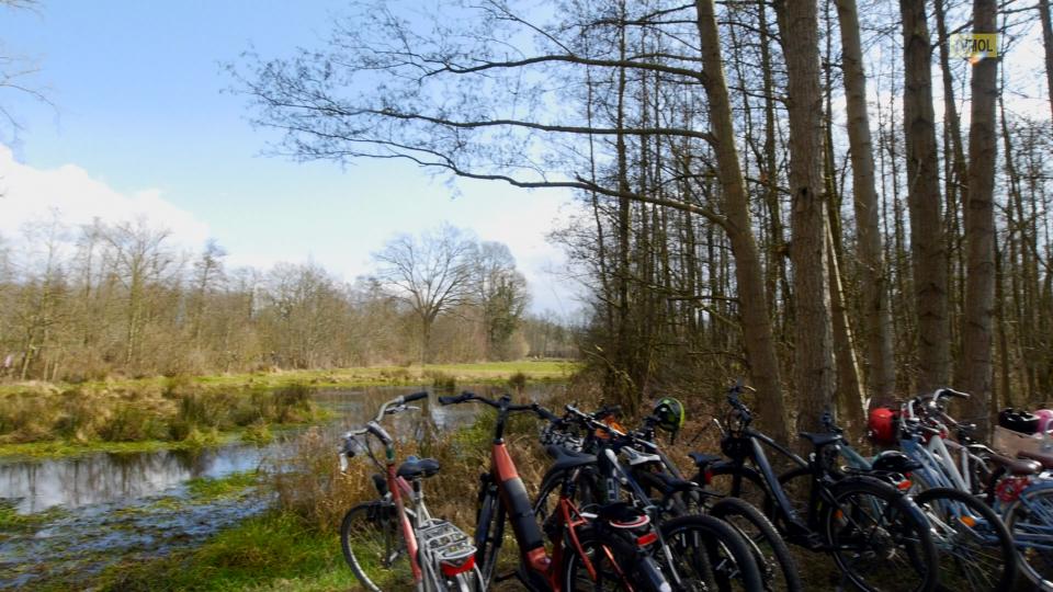 Molse schoolkinderen planten 1000 bomen