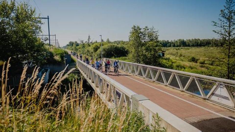 Fiets van Herentals naar Olen over gloednieuwe fietsostrade F105