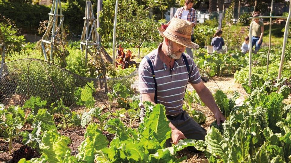 Projectoproep 'Verbind Mens en Omgeving' gelanceerd in Mol