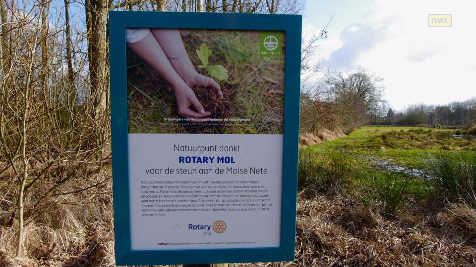 Molse schoolkinderen planten 1000 bomen
