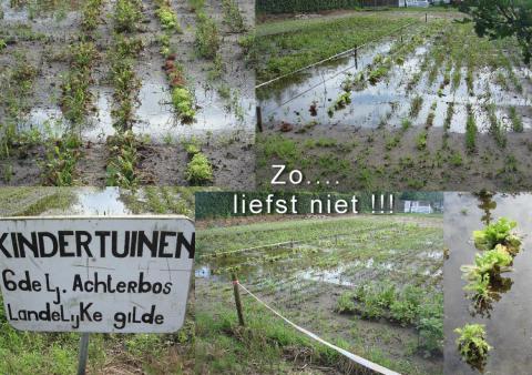 Kindertuin Mol Achterbos 2016 last van regen