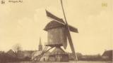 Molen Millegem-Mol