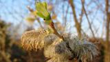 Natuurfoto s april 2016 08 - Yvo Geerts